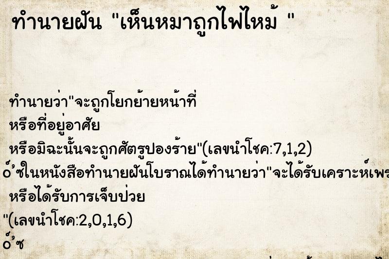 ทำนายฝัน เห็นหมาถูกไฟไหม้ 